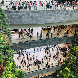 Singapore to equip workers with relevant skills for green economy